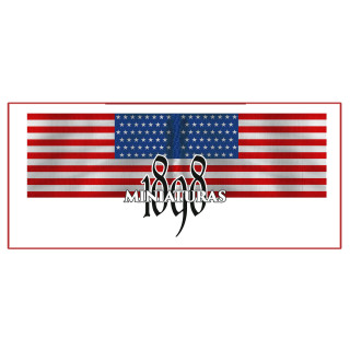 Bandera de batalla EE.UU.