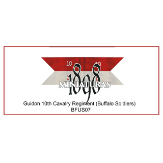 Company Guidon, 10th Cavalry (Buffalo soldiers)