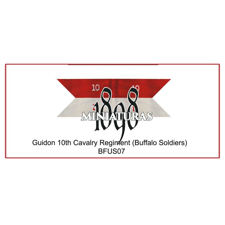 Company Guidon, 10th Cavalry (Buffalo soldiers)