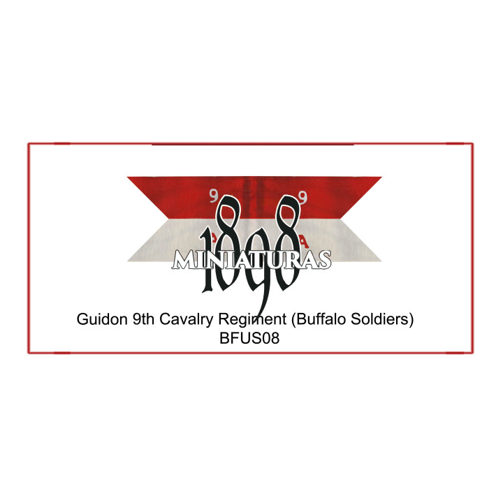 Company Guidon, 9th US Cavalry (Buffalo soldiers)
