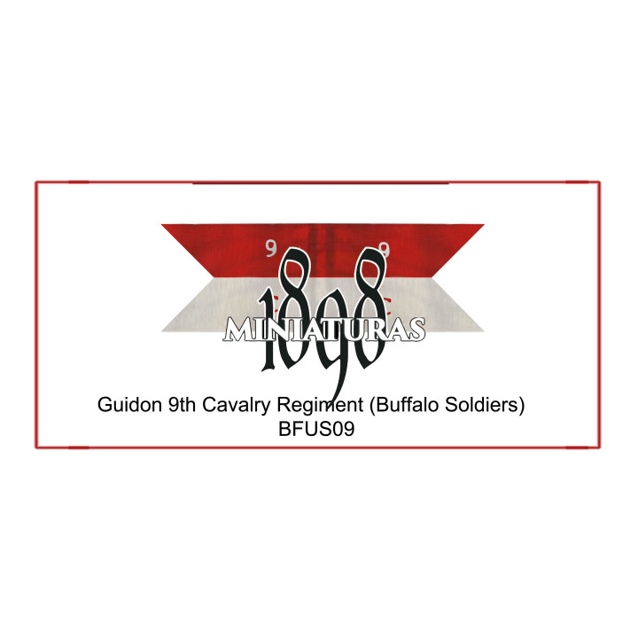 Company Guidon, 9th US Cavalry (Buffalo soldiers)
