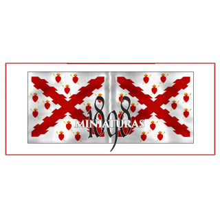 Bandera de Tercio II