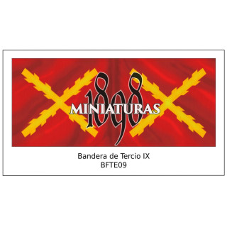 Bandera de Tercio IX