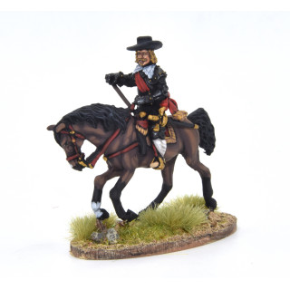 Cardinal Infant Ferdinand