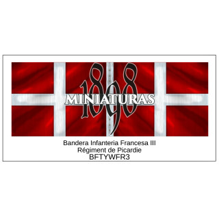 Bandera de Infantría Francesa III