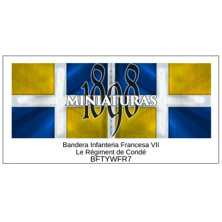 Bandera de Infantría Francesa VII (Regiment de Condé)