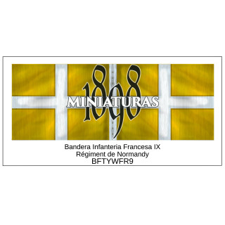 Bandera de Infantería Francesa IX (Regiment de Normandy)