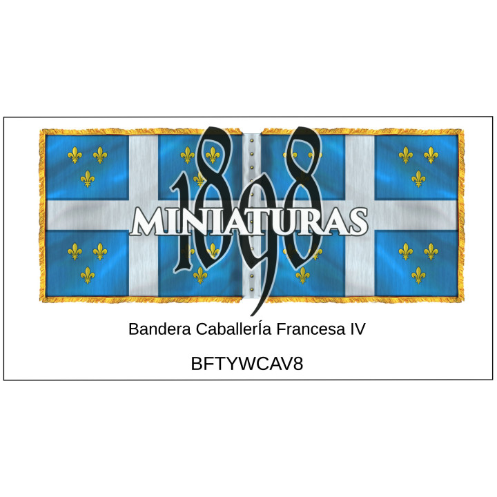 Bandera de Caballería Francesa IV